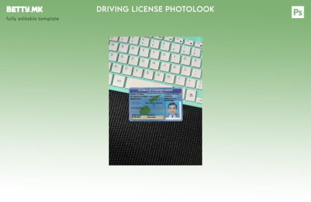 Модерен стил на Fiji DL photolook FRONT шаблон